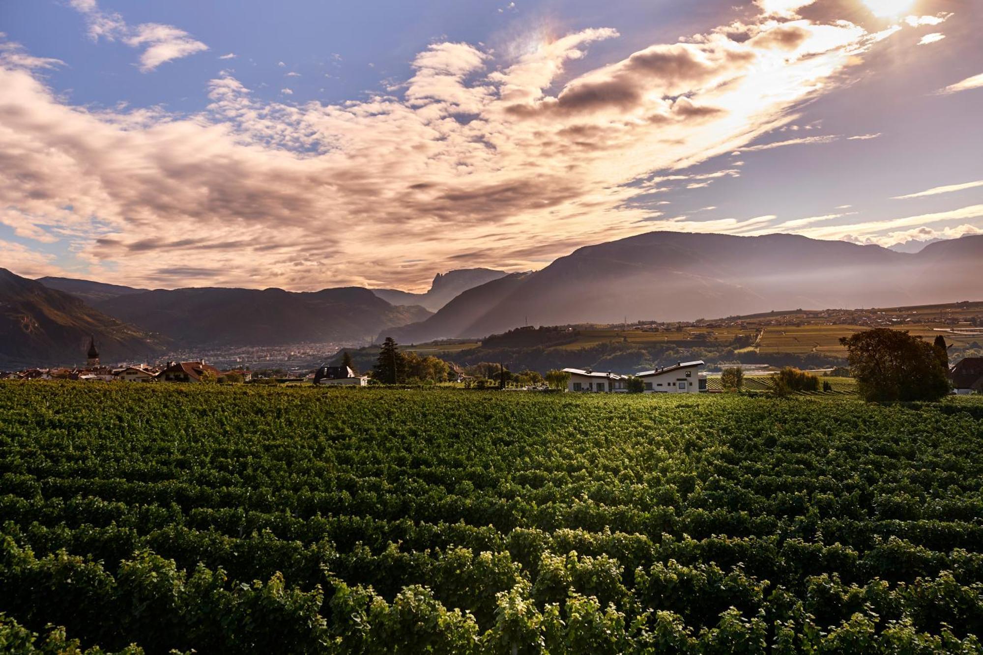 Weingut Klaus Lentsch Lejlighed Eppan an der Weinstraße Eksteriør billede